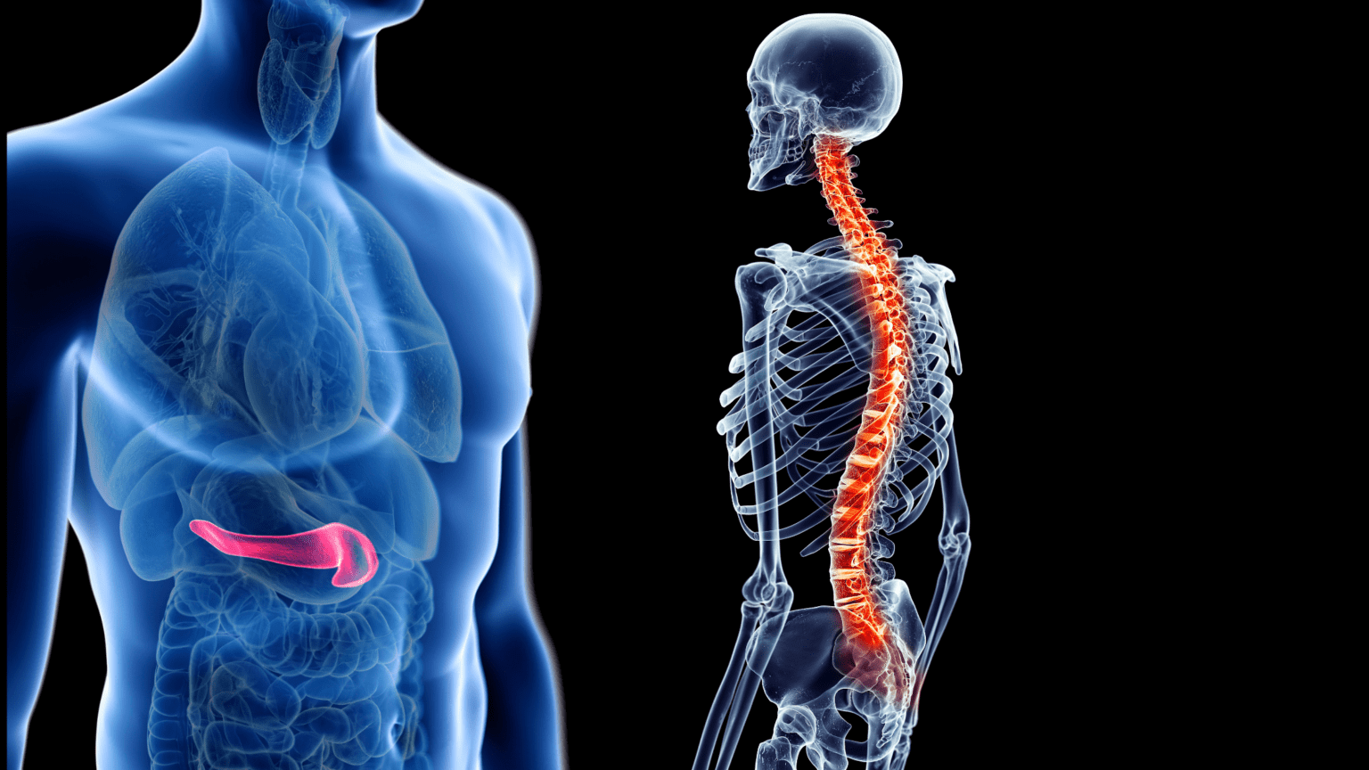 Spine and Pancreas